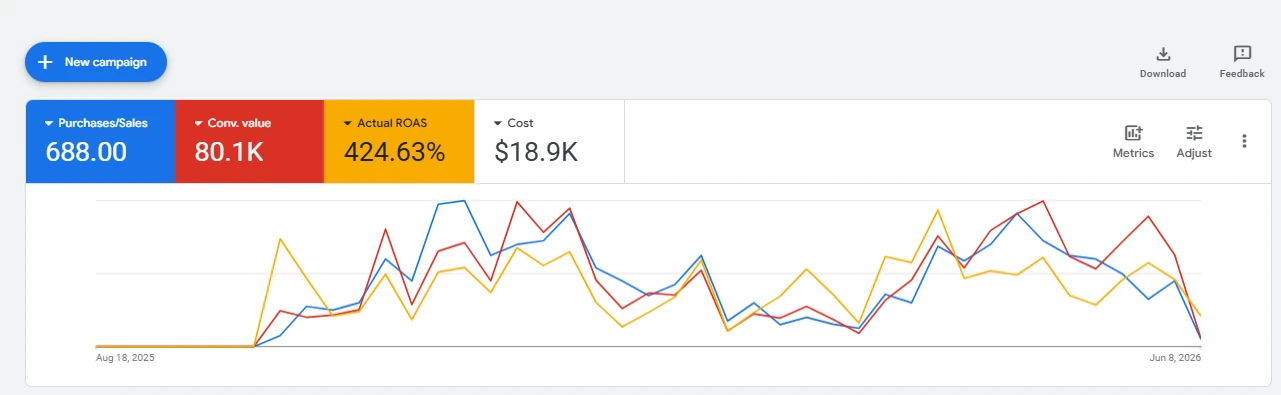 Google Ads account summary showing 688 purchases, $80.1K conversion value, 424.63 percent actual ROAS and $18.9K cost over ten months